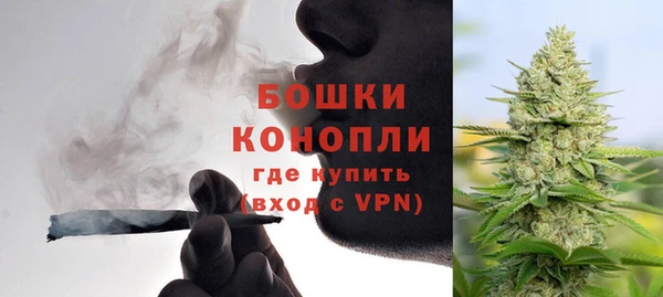 2c-b Белокуриха