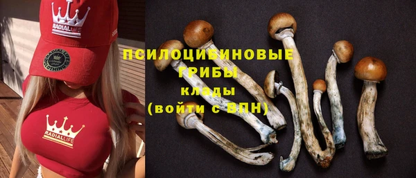 не бодяженный Богородицк